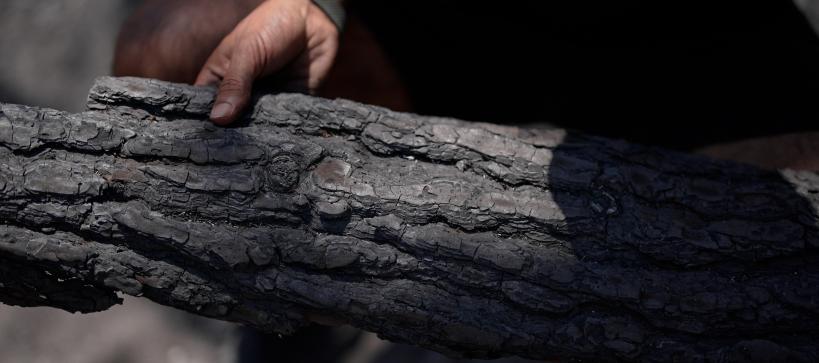 a man's hand touches a burnt log