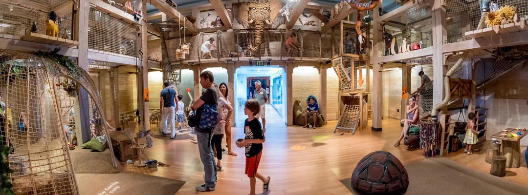 Children climbing on ropes in the interior of Noah's ark