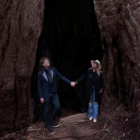 Ken and Tiffany stand holding hands and looking up at a larger-than-life tree behind them.