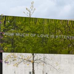 Photo of a mirrored sign against a gray, concrete wall. Blue sky and the words, How much of love is attention? appear on the sign.