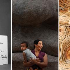 Three images from our upcoming exhibits feature a portrait of Diane von Furstenberg posing in her famous wrap dress, a woman holding a young child in front of a large stone sculpture, and a close up of wood grain.